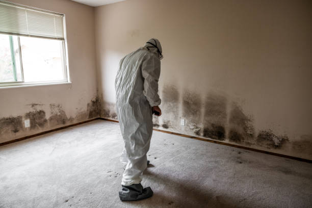 Best Forensic Mold Investigation  in New Castle Northwest, PA